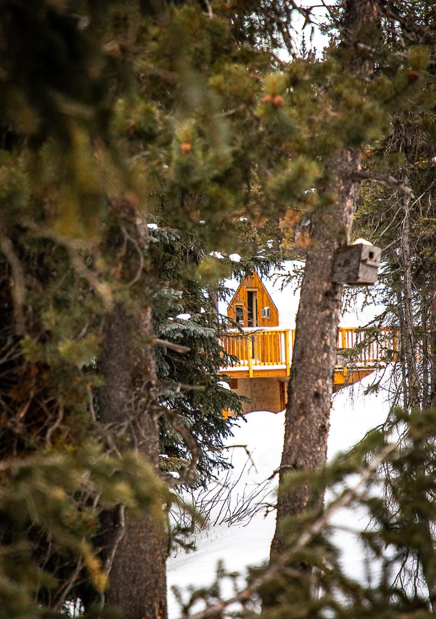 Mount Engadine Lodge 카나나스키스 외부 사진